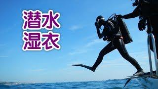 如何正确选择潜水湿衣？|潜水教学Dive Skills:Wetsuit