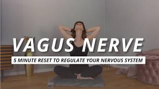 Somatic Exercises for Vagus Nerve Reset  | 5 minutes