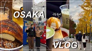 오사카여행vlog 동생 커플과 함께 한 2박3일 일본 여행. 자매라서 행복해요️ | 오사카 맛집 | 오사카 단풍 | e패스 200% 활용하기 | 피크민 꽃 잔뜩 얻고 오기