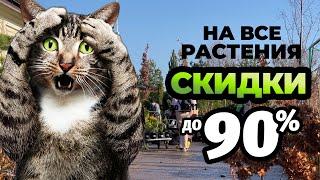 Открытие финальной распродажи в Ромашкино Парк