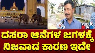 Dasara Elephants Fight | DFO Prabhu Gowda Explains The Reason | Public TV