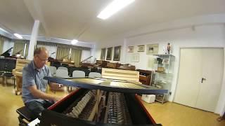Felix Hack - Perpetuum Mobile - played on Schiedmayer Celesta