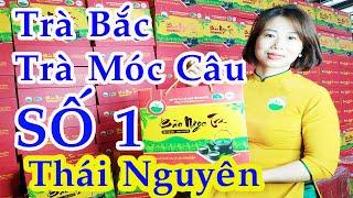 Trà Bắc | Trà Móc Câu - Giá Tốt | Trà Thái Nguyên