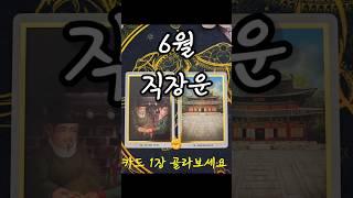 #타로 6월 직장운