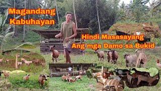 Magandang Kabuhayan Hindi Masasayang Ang Damo sa Bukid