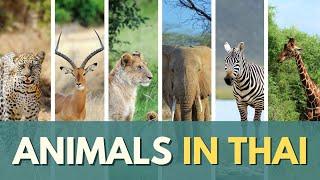 Animals in Thai | Let's Learn Some Thai Vocab | Thai Language for Beginners