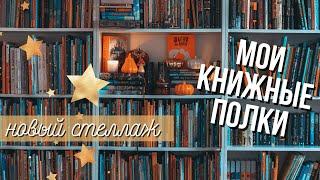 МОИ КНИЖНЫЕ ПОЛКИ: собираем новый книжный шкаф, расставляем книги по полкам, новый книжный тэг