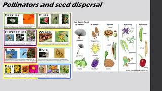 Plant Conservation part 1