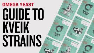 Omega Yeast Kveik Strains | Unique Yeast for Home Fermentation