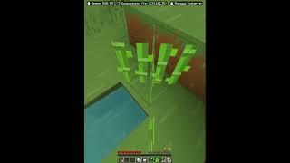 Кактус в небо #shorts #minecraft #майнкрафт #майн #выживание