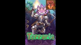 Terraria Calamity Mod Stream 3 PREPARATION!