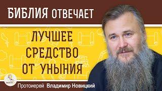 ЛУЧШЕЕ СРЕДСТВО ОТ УНЫНИЯ. Протоиерей Владимир Новицкий