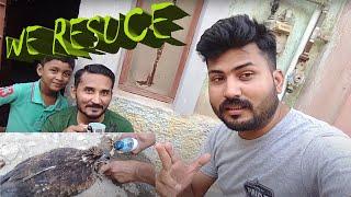 Saving Eagle Life | Rescue Eagle | By Nariyal TV Team | Life Is Important either Its Animal life...