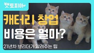 고양이 캐터리 비용은 얼마일까요?