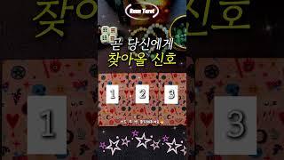 [타로] 곧 당신에게 찾아올 신호(좋은 소식? 나쁜 소식?)