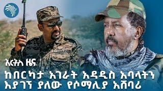 ከበርካታ አገራት አዳዲስ አባላትን እያገኘ ያለው የሶማሊያ አሸባሪ | አርትስ ትንታኔ @ArtsTvWorld