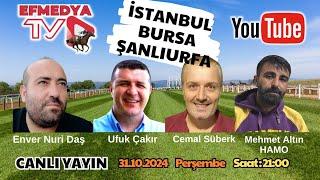 01.11.2024 Cuma Bursa, Şanlıurfa ve İstanbul At Yarışları Altılı Ganyan Tahminleri