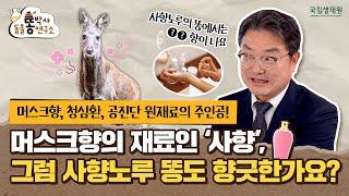 [똥박사 연구소] 머스크향의 원재료인 사향, 그럼 사향노루의 똥도 향긋한가요?