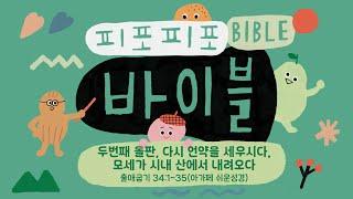 [피포피포 바이블] 두번째 돌판, 다시 언약을 세우시다, 모세가 시내 산에서 내려오다 (출애굽기 34장)