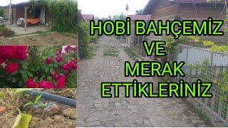 HOBİ BAHÇEMİZ | BELEDİYENİN KİRALADIĞI HOBİ BAHÇELERİ