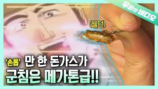 크기와 반비례하는 군침의 양~? '손톱'만 한 1cm 미니 왕 비룡 등판이요!!!‍┃1cm But it's Enough to Make Your Mouth Watery