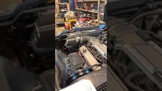 81 Z28 LT1 Swap - First start in over 10 years! #shorts @machinesnmetal