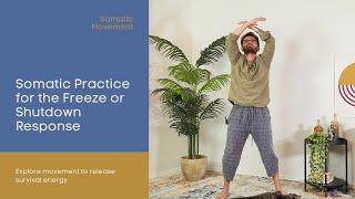 Somatic Practice for the Freeze or Shutdown Response