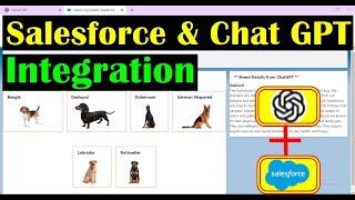 Salesforce And ChatGPT Integration with Small Use Case