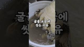 굴은 꼭 씻어서 드세요 Why you have to wash oysters #shorts #굴 #굴손질법 #reful