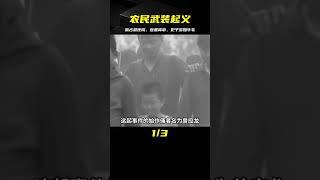 四川農民武裝起義，霸占縣醫院登基稱帝，冊封40多名護士為妃子