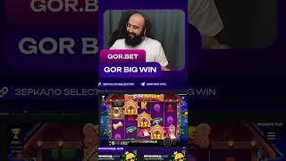 X199 большой выигрыш в онлайн слоте The Dog House от Прагматик на GorBigWin #заносызанеделю