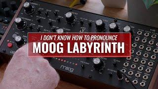 Moog Labyrinth - Demo and Review