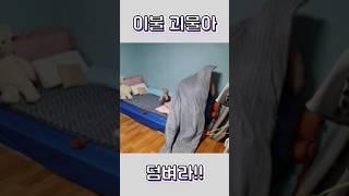 환상의 짝꿍