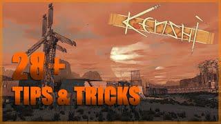 28+ TIPS You Wish You Knew Sooner for Kenshi