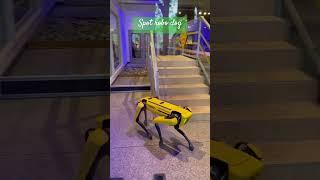 Boston Dynamics' Spot Robot Dog Now Available for $74,500’  #bostondynamics #robodog