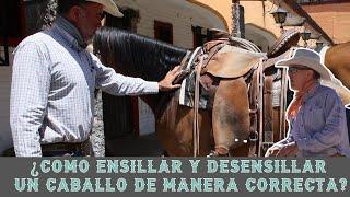 Como ensillar y desensillar de manera correcta un caballo | ALVARO PEDRERO #caballos