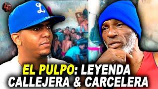 EL PULPO: SOBREVIVE A VARIOS ATAQUES DE SUS CONTRARIOS | CORTAR0N SU OREJA Y LA PUSIERON EN SU BRAZO