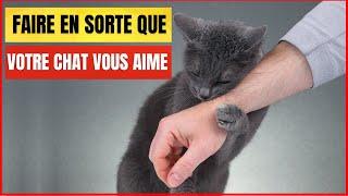 10 façons scientifiques de vous faire aimer par un Chat | Incroyablement Top