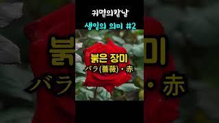 귀멸의칼날 캐릭터들 생일의 의미 2편