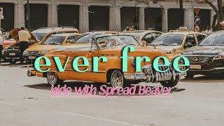 hide with Spread Beaver『ever free』歌詞PV