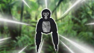 I AM NOW OFFICIALLY A MONKEY(First time playing gorilla tag)