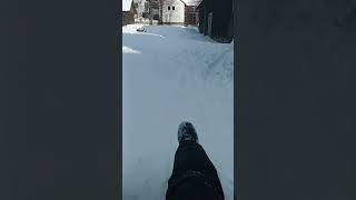 Winter in Südharz #nature #snow #schlitten