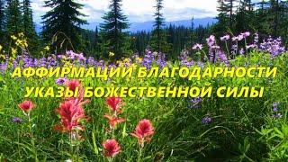 Аффирмации Благодарности  Указы Божественной Силы, чтобы ИЗМЕНИТЬ СВОЮ ЖИЗНЬ 