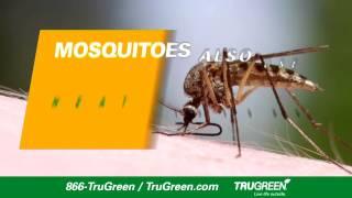 TruGreen Introduces Mosquito Defense™