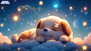 Fall Asleep Quickly  Lullabies for Babies to Go to Sleep  Baby Sleep Music