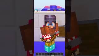Minecraft Mob Arena 19