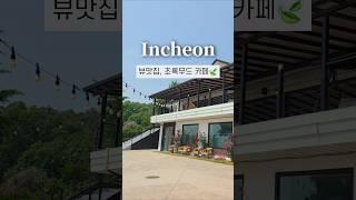 초록뷰 맛집 인천 신상카페, 메이도우 카페