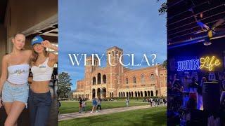 WHY UCLA? | #1 public university, greek life & school spirit