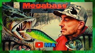 Рыбалка на лесном озере на щуку и окуня .Воблеры Megabass .