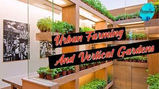 Discover The Thriving World Of Urban Farming!